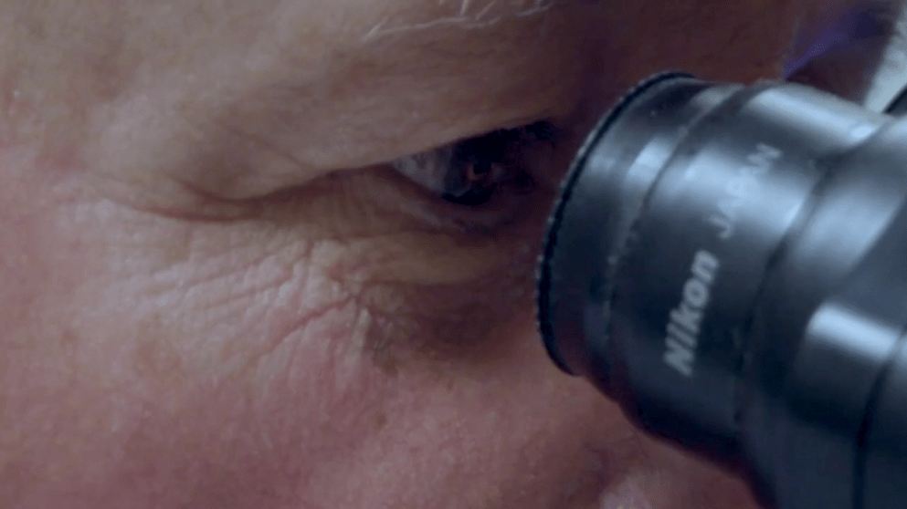 A close-up of a person looking into a microscope